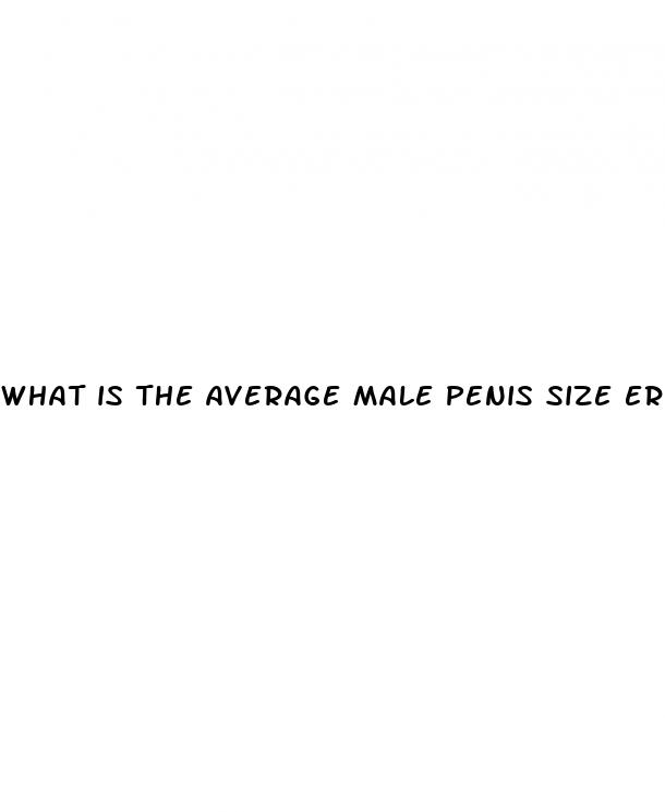 what is the average male penis size erect