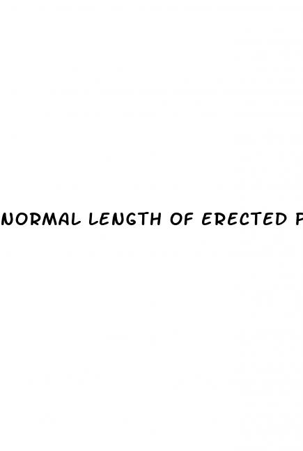 normal length of erected penis