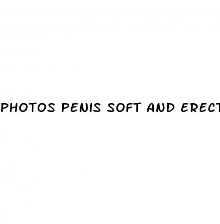 photos penis soft and erect
