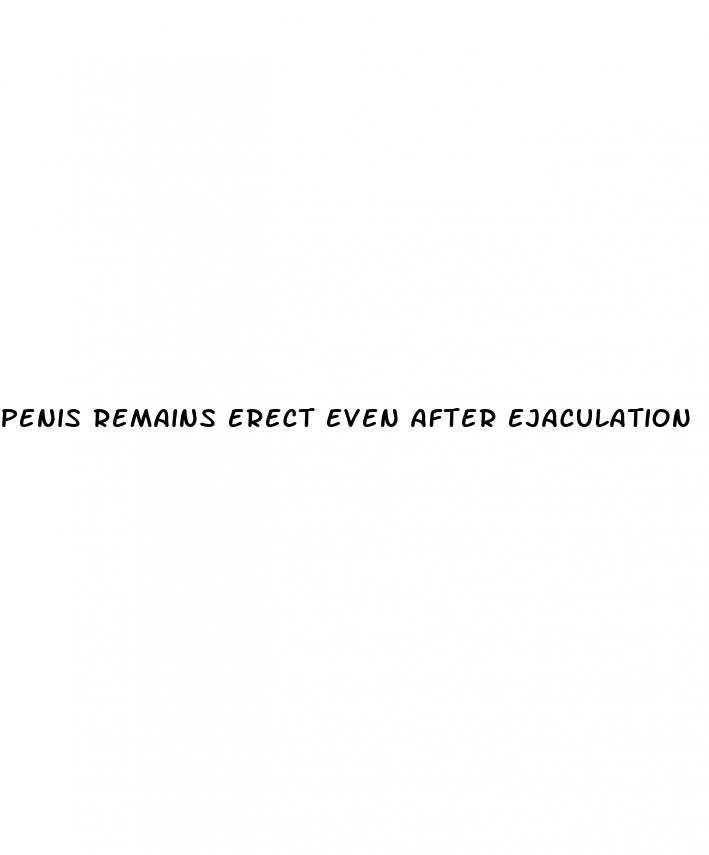 penis remains erect even after ejaculation