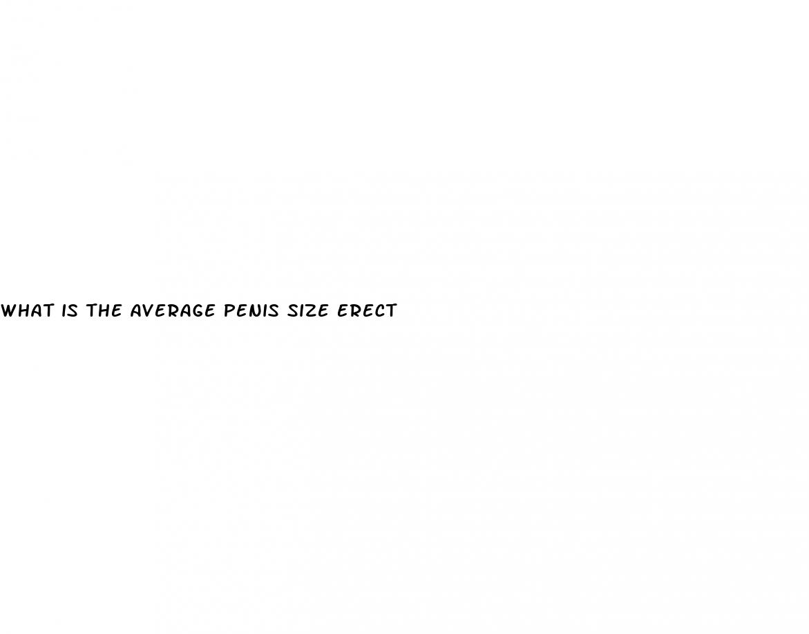what is the average penis size erect