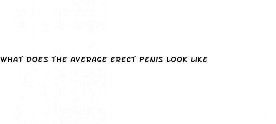 what does the average erect penis look like