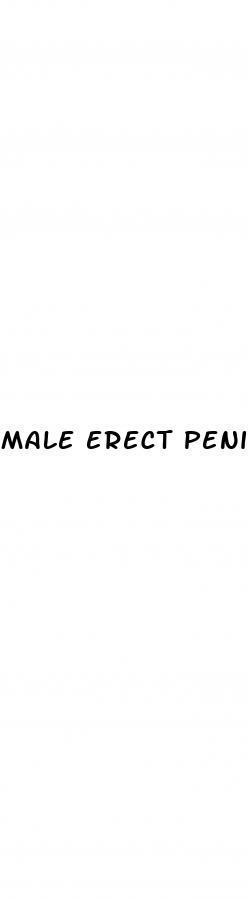 male erect penis side