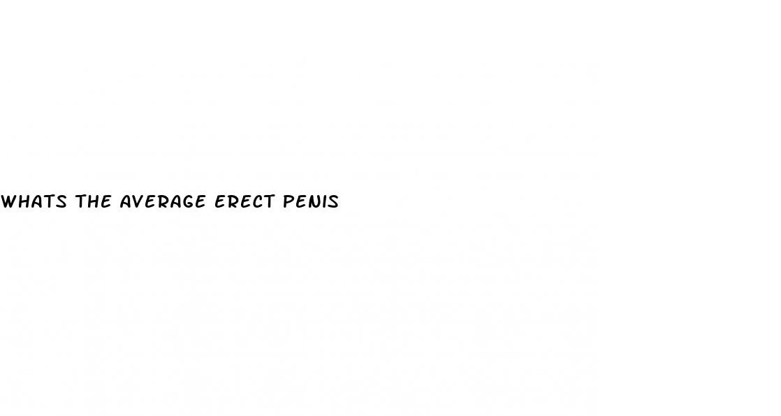 whats the average erect penis