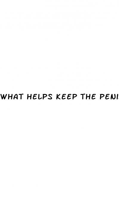 what helps keep the penis erection