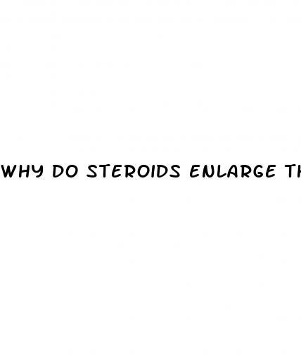 why do steroids enlarge the penis