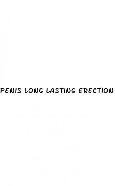 penis long lasting erection
