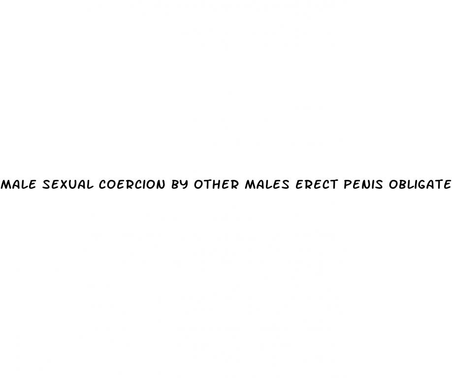 male sexual coercion by other males erect penis obligated