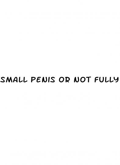 small penis or not fully erect