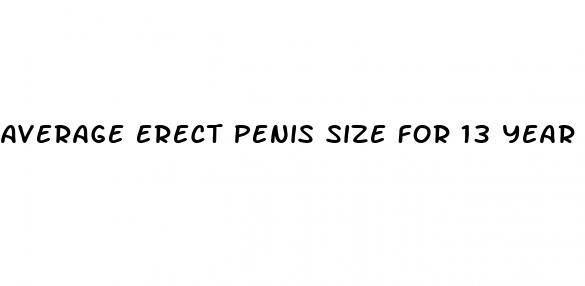 average erect penis size for 13 year old
