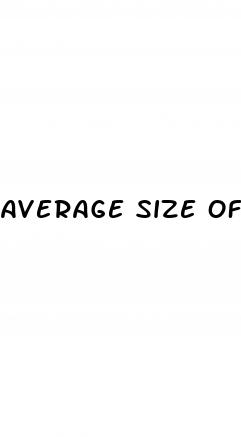 average size of female organ