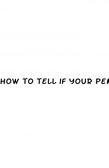 how to tell if your penis is big
