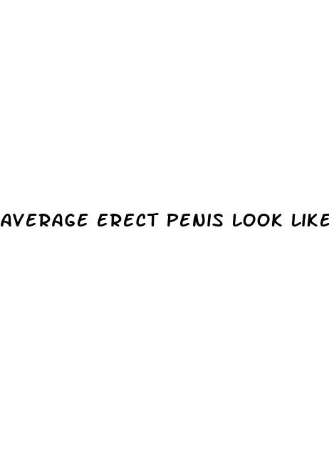 average erect penis look like