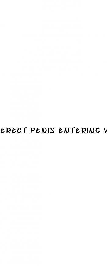 erect penis entering vagina