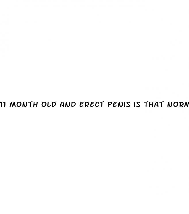 11 month old and erect penis is that normal