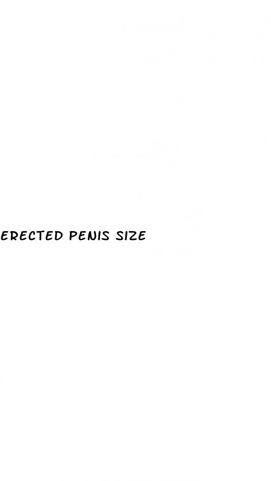 erected penis size