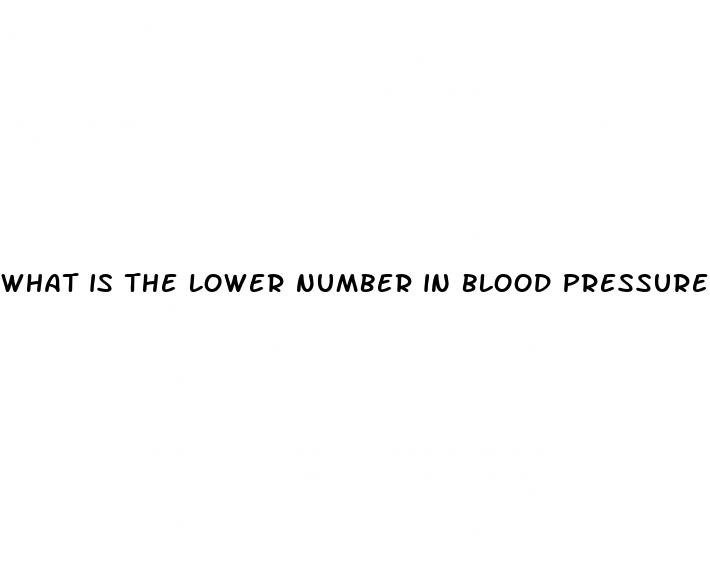 what is the lower number in blood pressure reading