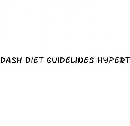 dash diet guidelines hypertension