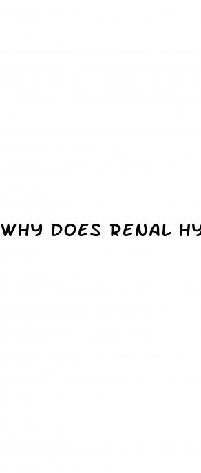 why does renal hypertension decreased perfusion