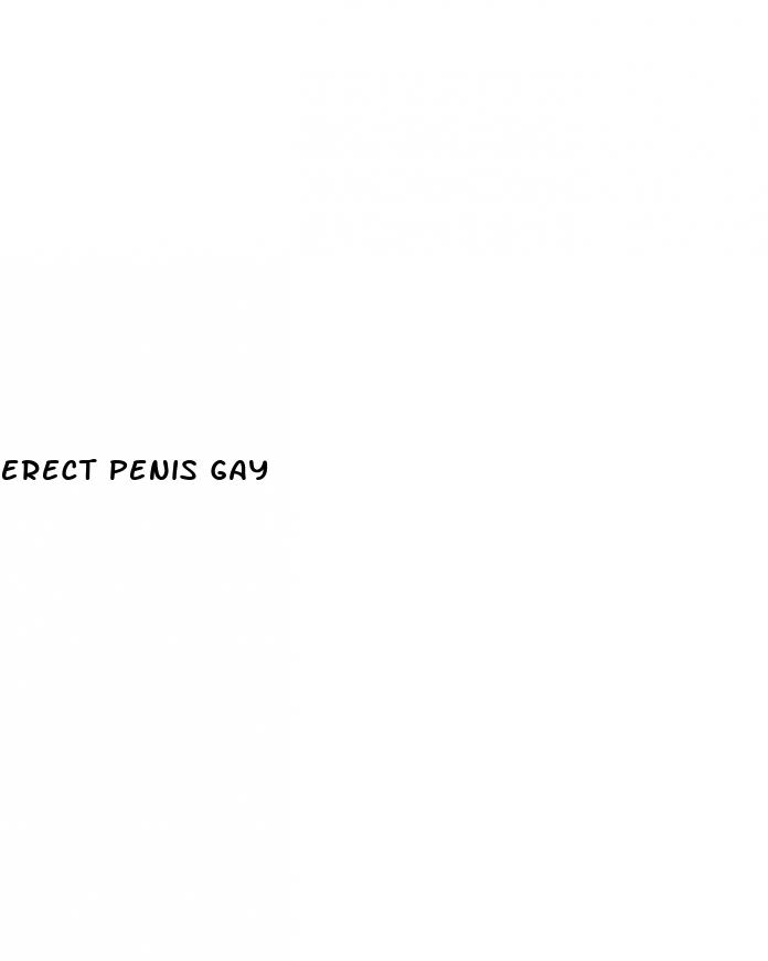 erect penis gay