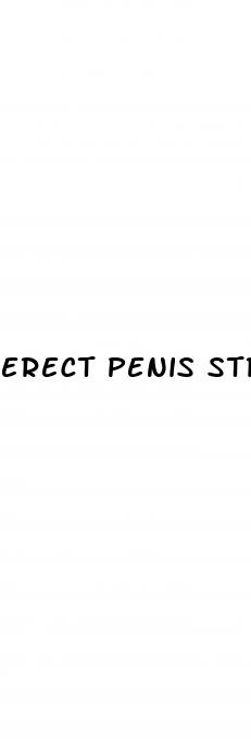 erect penis stretch