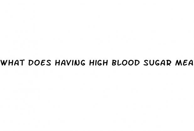 what does having high blood sugar mean