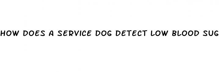 how does a service dog detect low blood sugar