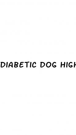 diabetic dog high blood sugar symptoms