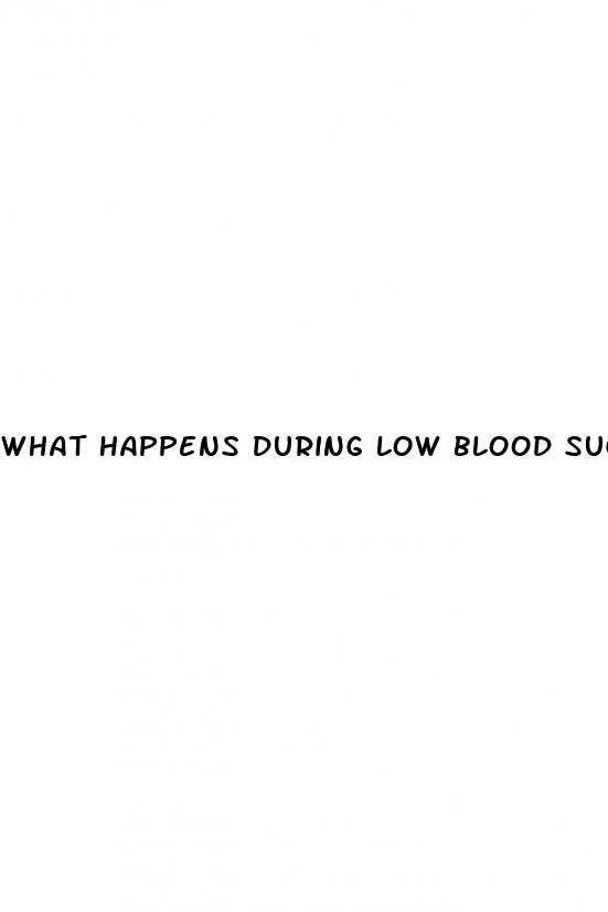 what happens during low blood sugar