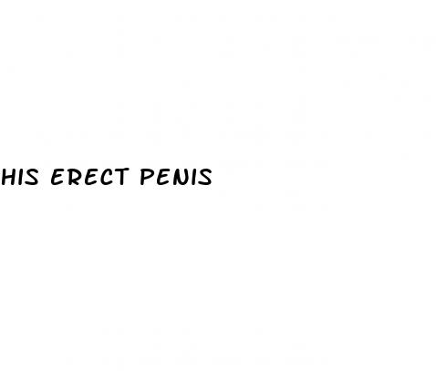 his erect penis