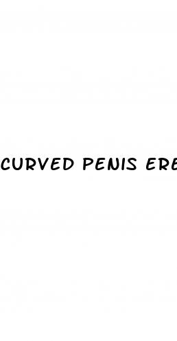 curved penis erect