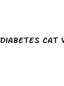 diabetes cat video