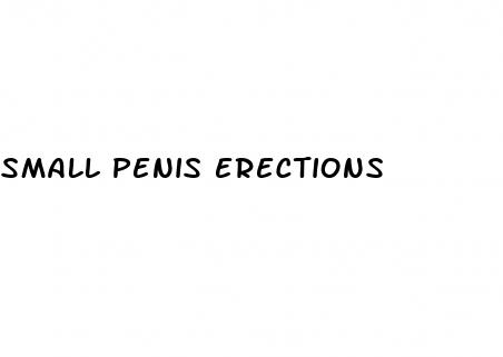 small penis erections