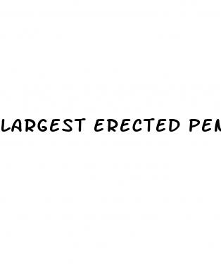 largest erected penis