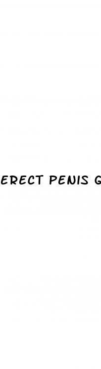erect penis glans