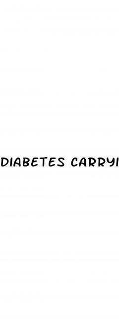 diabetes carrying case
