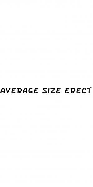 average size erect penis comparison