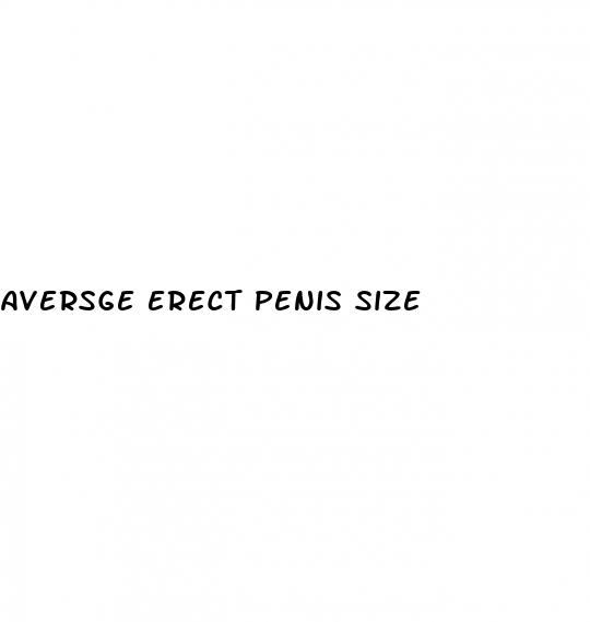 aversge erect penis size