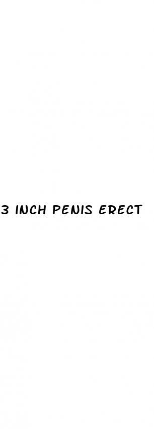 3 inch penis erect