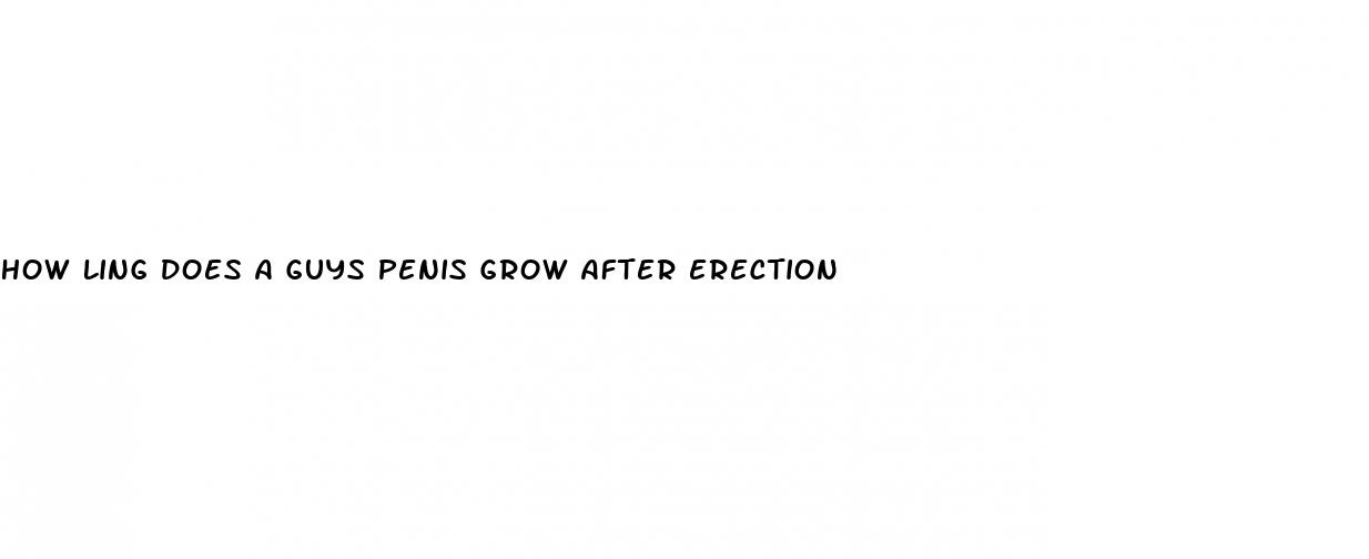how ling does a guys penis grow after erection