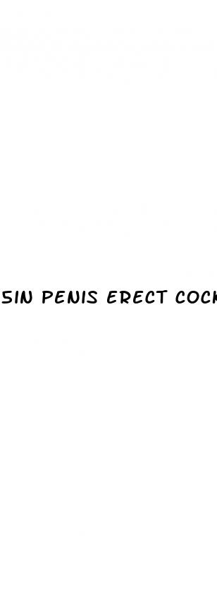5in penis erect cock