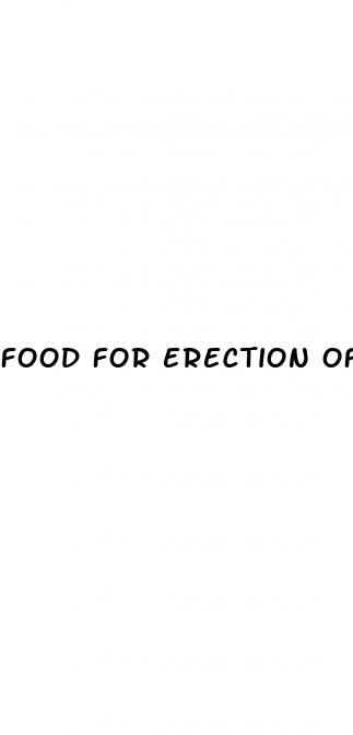 food for erection of penis