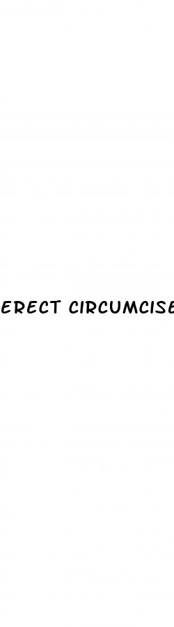 erect circumcised real penis photo