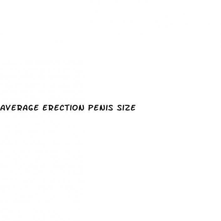 average erection penis size