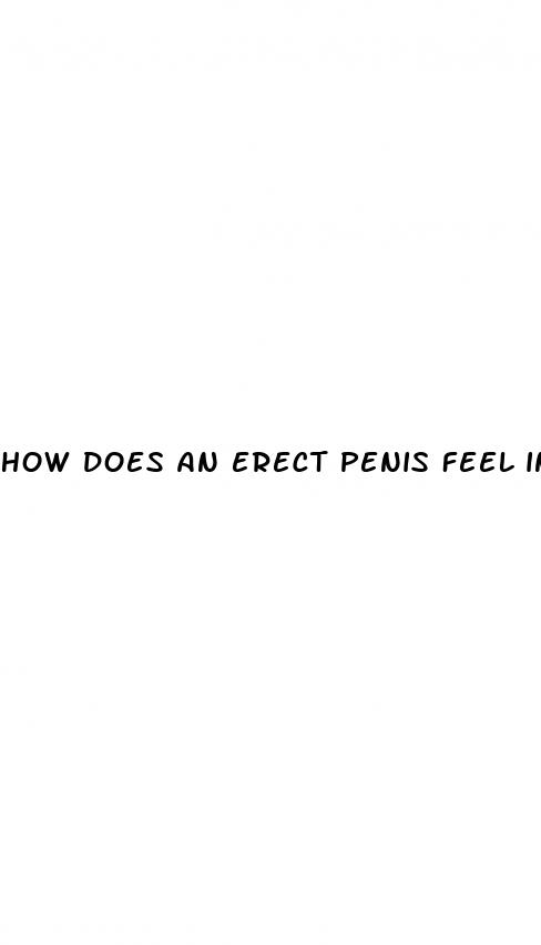 how does an erect penis feel inside a femal