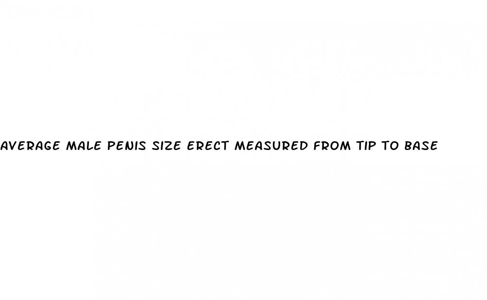 average male penis size erect measured from tip to base