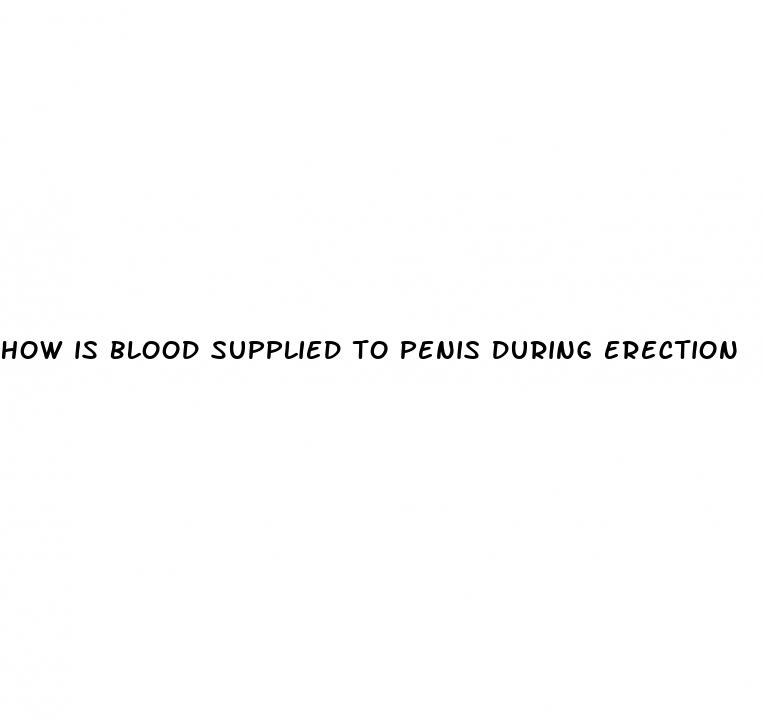how is blood supplied to penis during erection