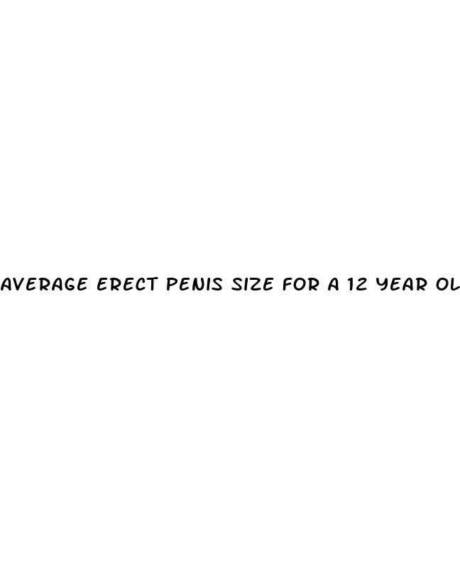 average erect penis size for a 12 year old