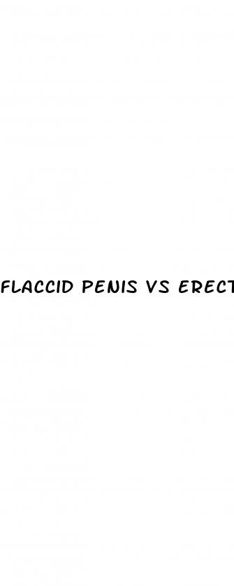 flaccid penis vs erect