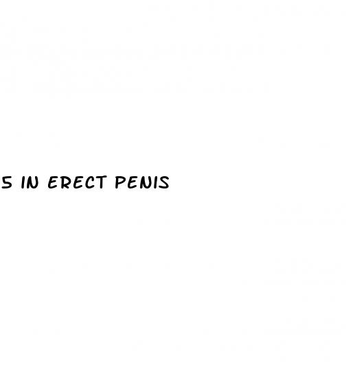 5 in erect penis